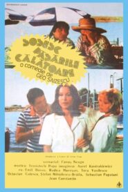 The Migrant Birds Are Coming 1984 one on netflix