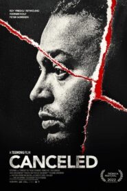 Canceled 2022 one on netflix