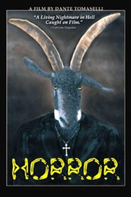Horror 2003 one on netflix