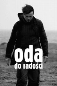 Ode to Joy 2006 one on netflix