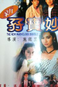 The New Marvelous Double 1992 one on netflix