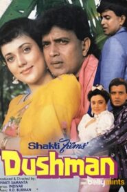 Dushman 1990 one on netflix
