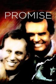 Promise 1986 one on netflix