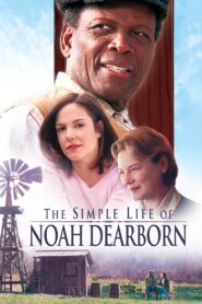 The Simple Life of Noah Dearborn 1999 one on netflix