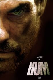 The Hum 2015 one on netflix