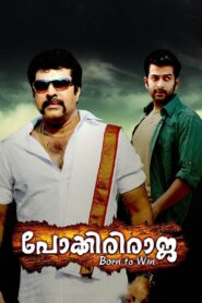Pokkiri Raja 2010 one on netflix