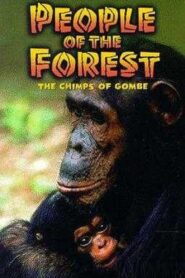People of the Forest: The Chimps of Gombe 1988 one on netflix