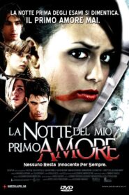 La notte del mio primo amore 2006 one on netflix