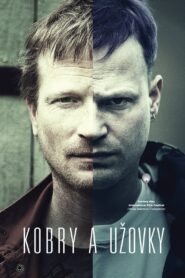 The Snake Brothers 2015 one on netflix