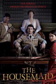 The Housemaid 2016 one on netflix