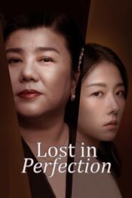 Lost in Perfection 2023 one on netflix