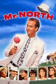 Mr. North 1988 one on netflix