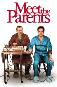 Meet the Parents 2000 one on netflix