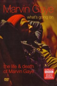 What’s Going On: The Life and Death of Marvin Gaye 2008 one on netflix