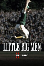 Little Big Men 2010 one on netflix