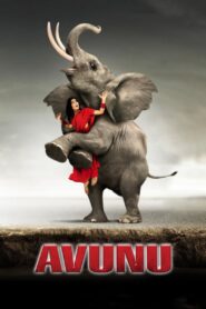 Avunu 2012 one on netflix