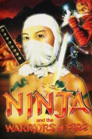 Ninja and the Warriors of Fire 1987 one on netflix