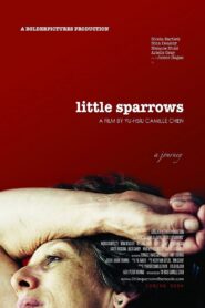 Little Sparrows 2010 one on netflix