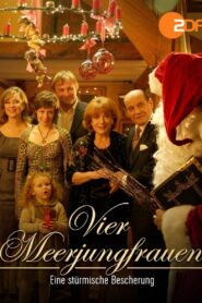 Eine stürmische Bescherung 2007 one on netflix