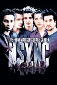 ‘N Sync: Live from Madison Square Garden 2000 one on netflix