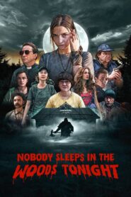 Nobody Sleeps in the Woods Tonight 2020 one on netflix