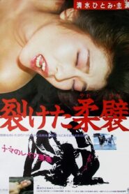 Saketa yawahida 1987 one on netflix