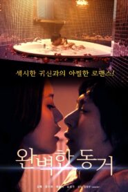 Perfect Cohabitation 2021 one on netflix