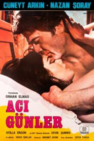 Acı Günler 1981 one on netflix