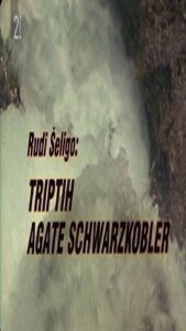 Triptych of Agata Schwarzkobler 1997 one on netflix