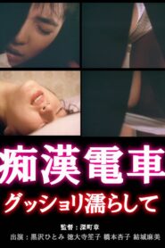Chikan densha: Gusshori nurashite 1988 one on netflix