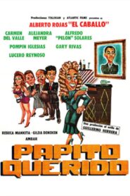 Papito querido 1991 one on netflix