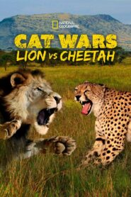 Cat Wars: Lion vs. Cheetah 2011 one on netflix