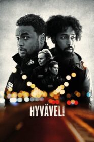 Hyväveli 2022 one on netflix