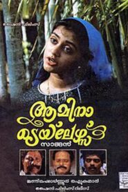 Amina Tailors 1991 one on netflix