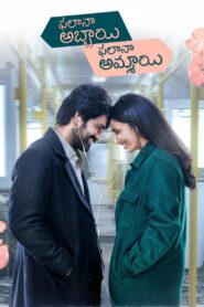 Phalana Abbayi Phalana Ammayi 2023 one on netflix