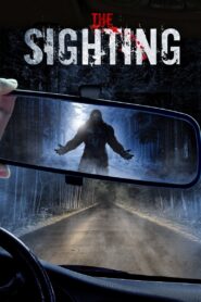 The Sighting 2016 one on netflix