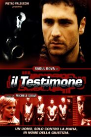 Il testimone 2001 one on netflix