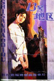 十三号地区 1984 one on netflix