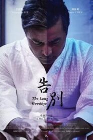 The Long Goodbye 2017 one on netflix