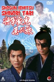 Shogun Iemitsu Shinobi Tabi 1990 one on netflix