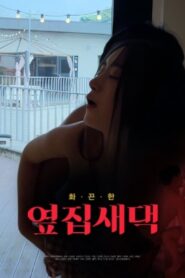 New Wife Next Door 2024 one on netflix