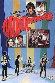 Hey, Hey, It’s the Monkees 1997 one on netflix