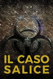 Salice’s case 2020 one on netflix