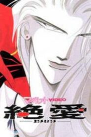 Desperate Love 1989 1992 one on netflix