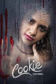 Cookie 2020 one on netflix