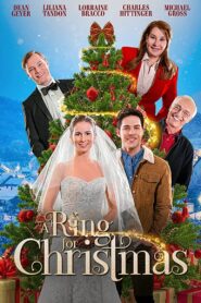 A Ring for Christmas 2020 one on netflix