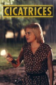 Cicatrices 2001 one on netflix