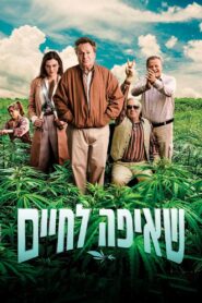 Greener Pastures 2022 one on netflix