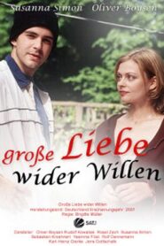 Große Liebe wider Willen 2001 one on netflix