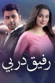 Mere Humsafar 2021 one on netflix